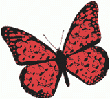 Red Butterfly
